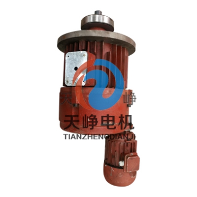 0.8-24KW双速电机 (4)